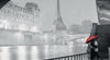 Ravensburger - Paris 1000 Piece Puzzle